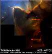 Mlhovina Trifid pozorovaná HST [Foto: STScI]. Větší obrázek 76.96 Kb, 640 x 686